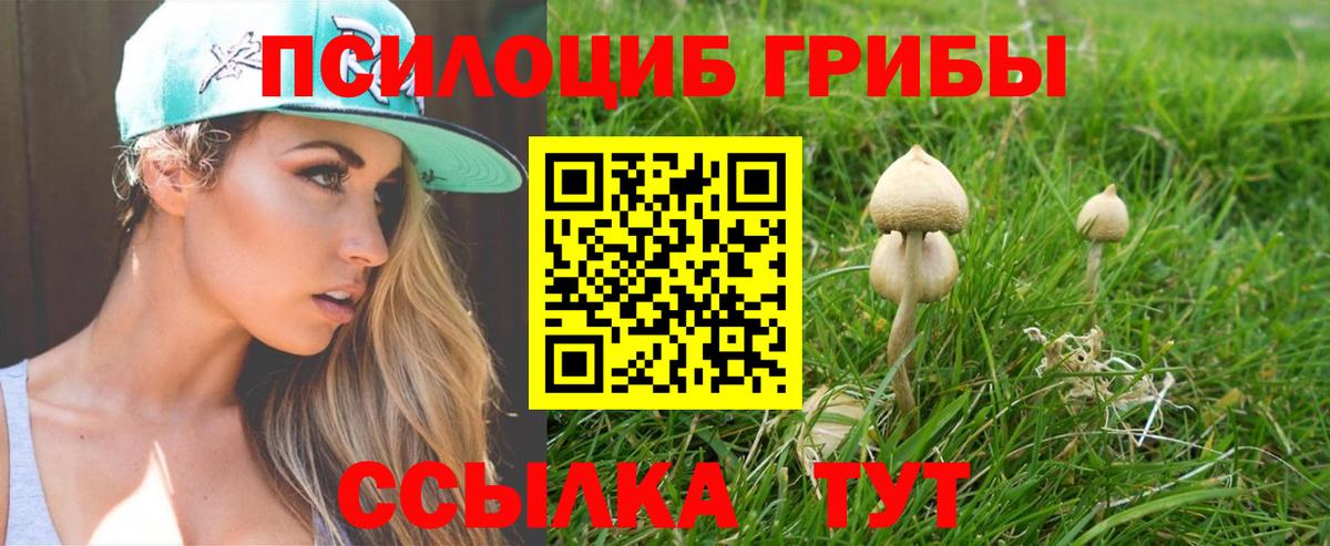 Дзержинский  Галлюциногенные грибы ЛСД  Вход с VPN 